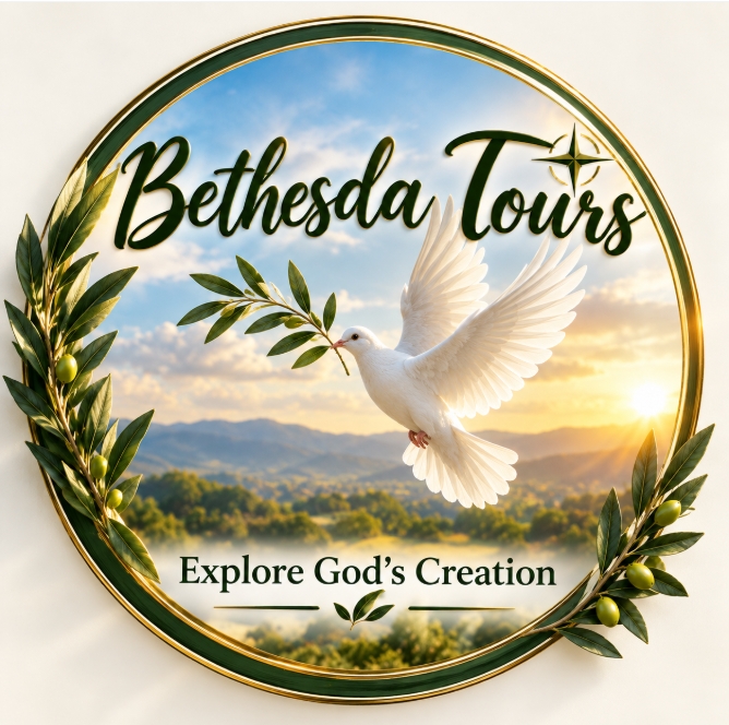 Bethesda Tours (Pty) Ltd.