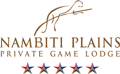 Nambiti Plains Lodge
