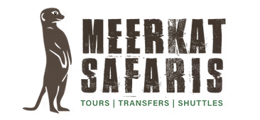 Meerkat Safaris 