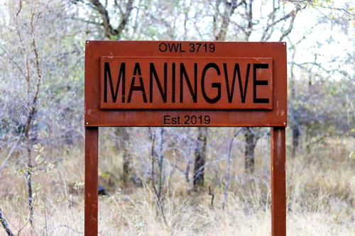 Maningwe