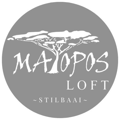 Matopos Loft