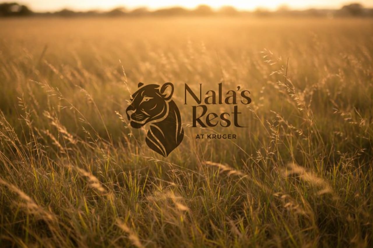 Nala's Rest at Kruger