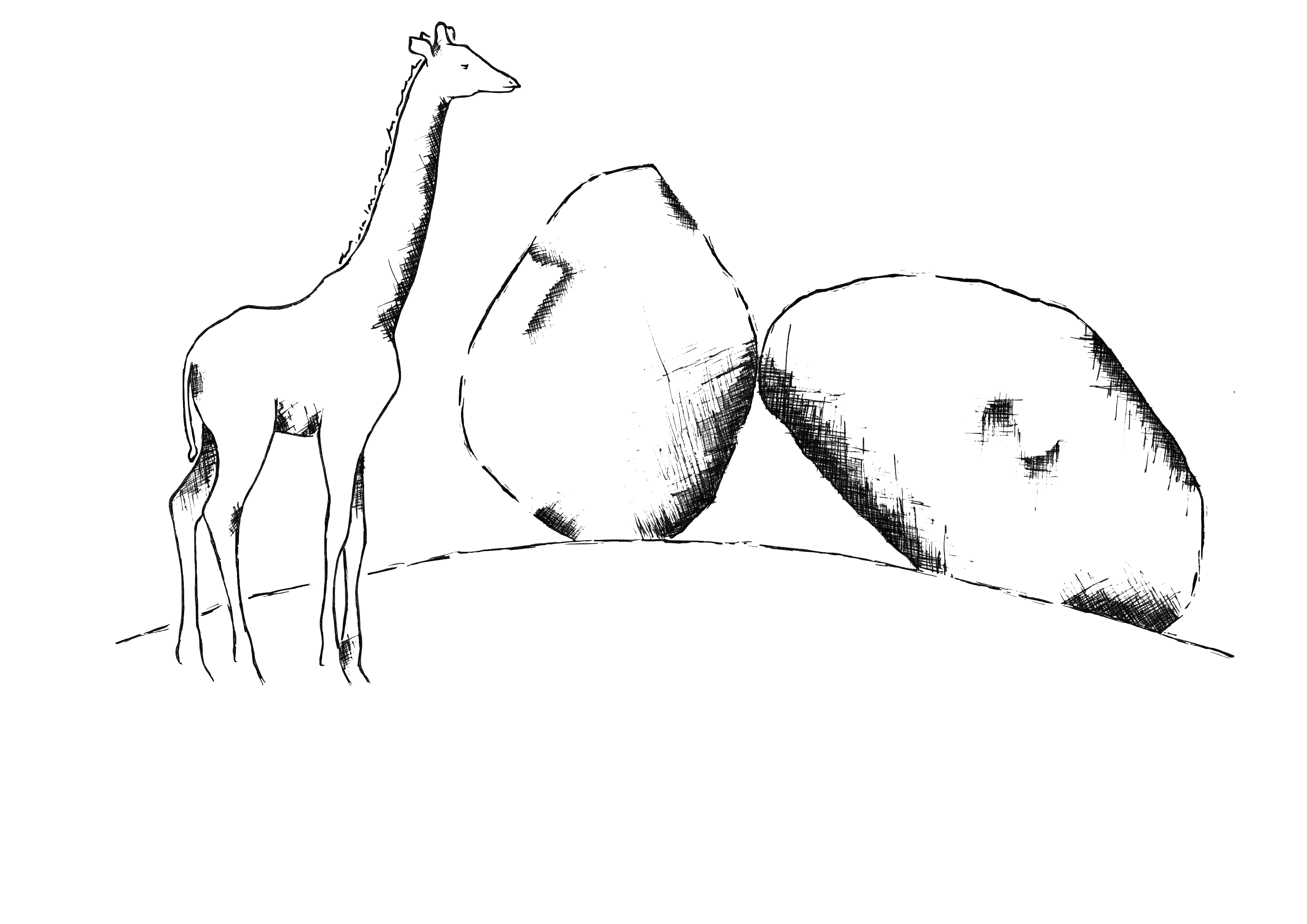 Ameib Guesthouse & Camping