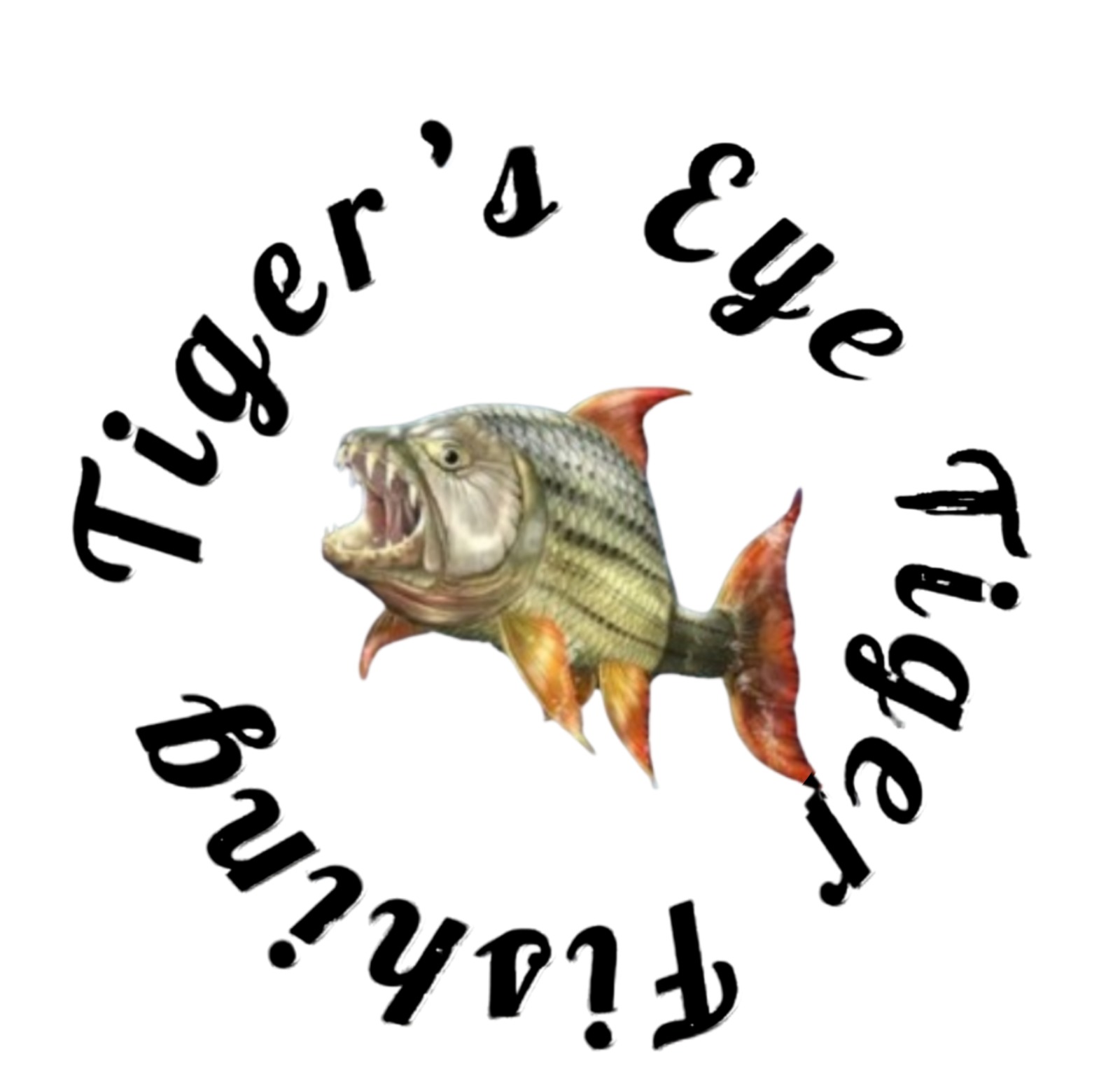 Tigers eye Tiger Fishing