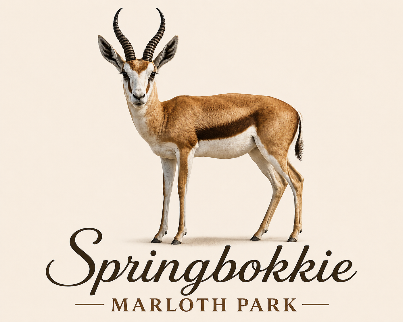 Springbokkie Marloth Park