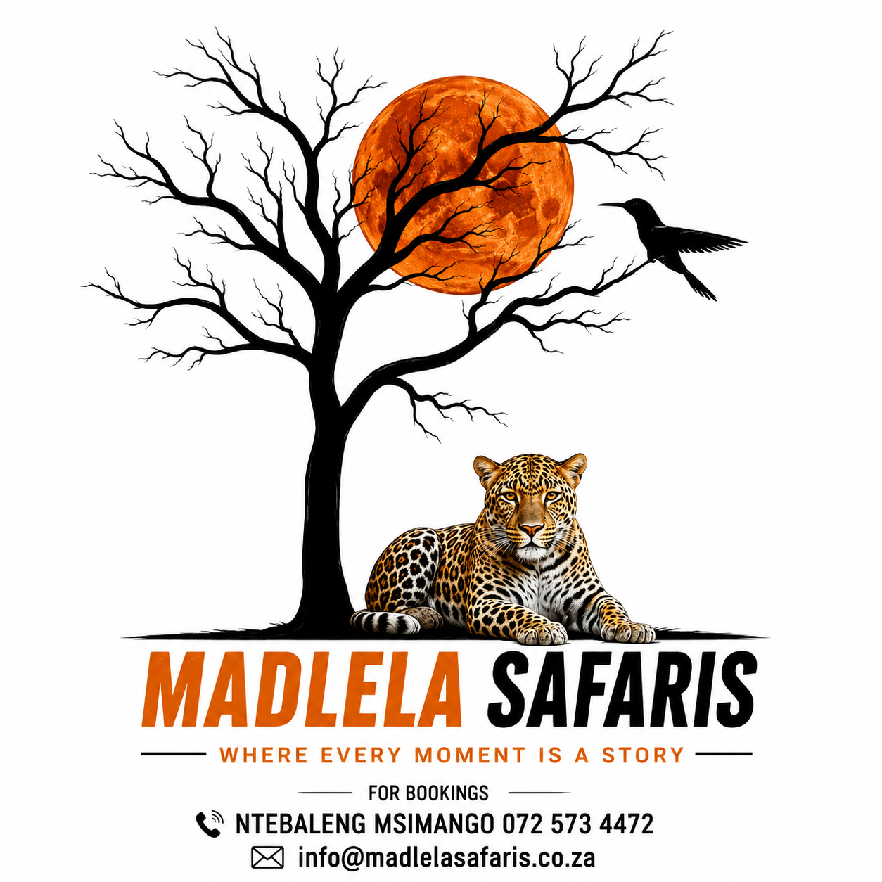 Madlela Safaris