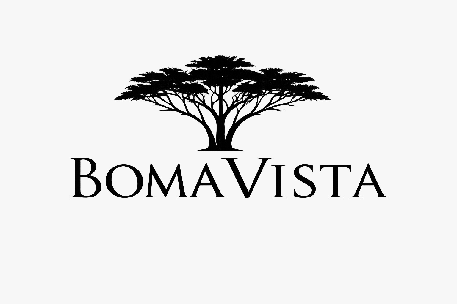 BomaVista