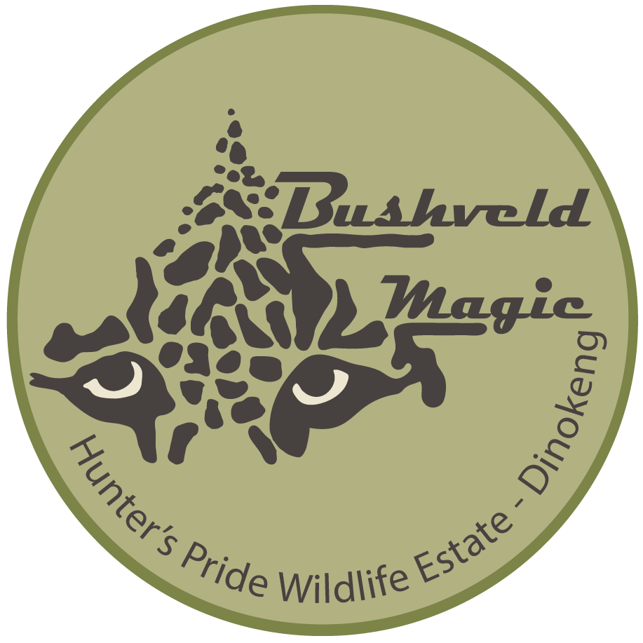 Bushveld Magic Lodge
